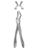 Extractive Forceps